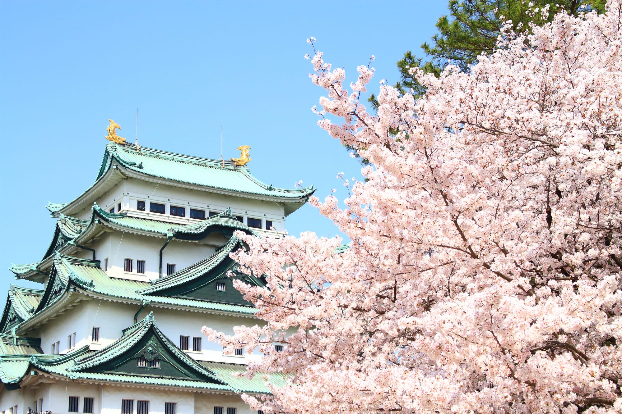 ゼロ賃貸名古屋