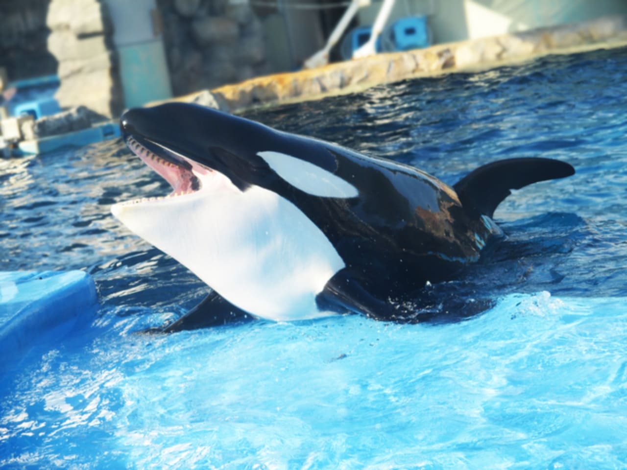 名古屋港水族館