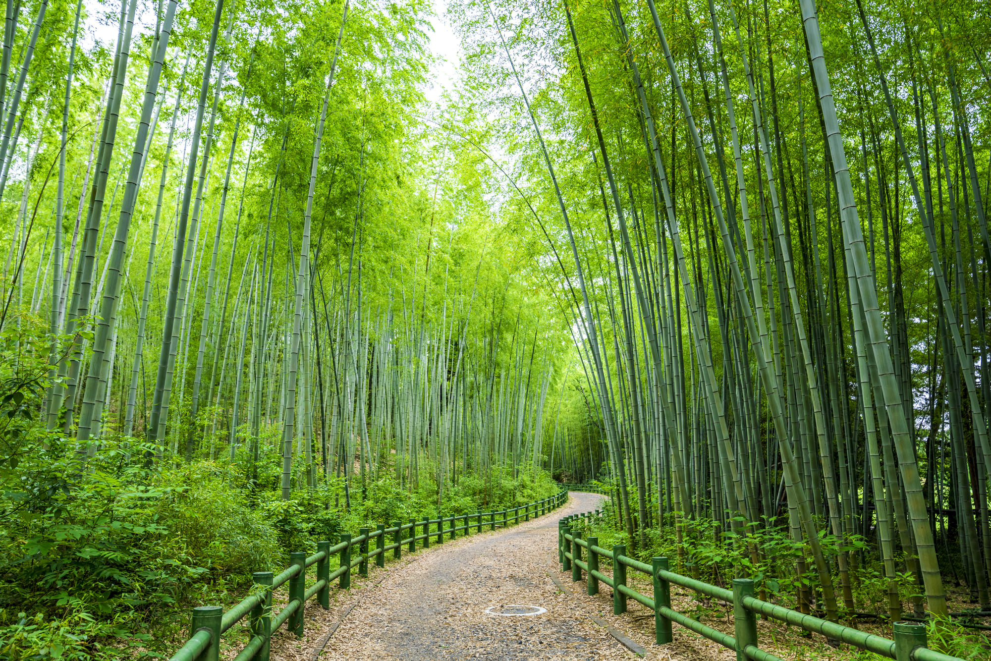 名古屋市名東区