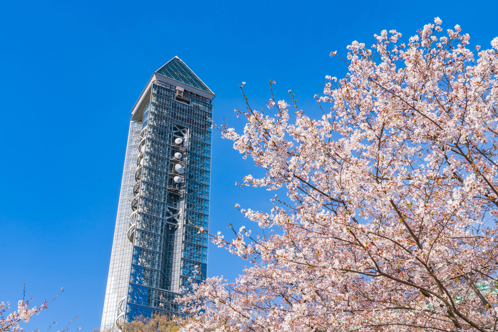 名古屋市東部